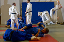 Kuva on linkki: Helsingin Tarmon judojaos Chikara
